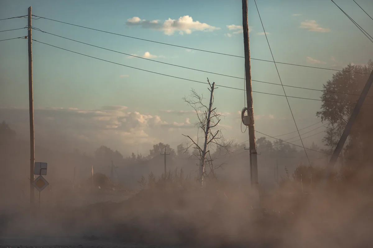 Chegdomyn, Russia. 2019. Remnants of nature near an open-pit coal mine.