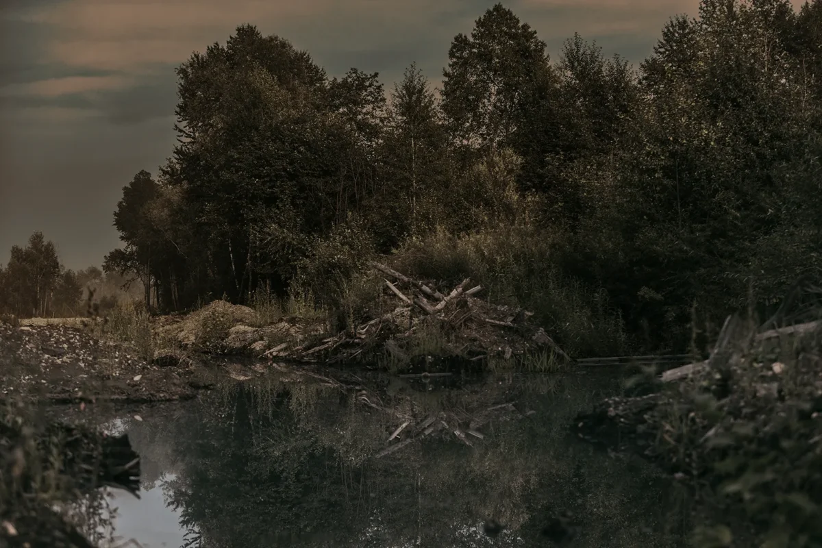 Chegdomyn, Russia. 2019. A swamp near the open-pit coal mine.