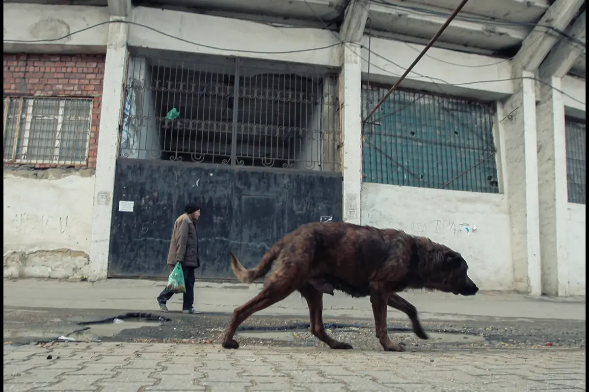 Dagestan: Before The Money