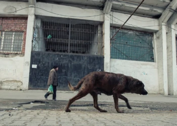 Dagestan: Before The Money